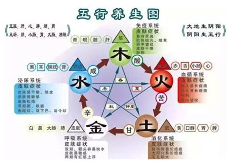 身體五行圖|八字與五行健康養生線上免費查詢